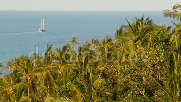 有帆船和热带异国植物的海洋从上方看平静的蓝色海洋木船漂浮在海面上视频的预览图