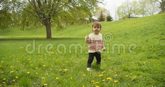 可爱的女婴在公园里玩蒲公英视频的预览图