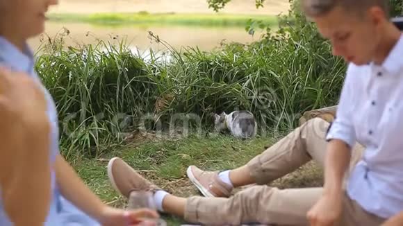 一对相爱的年轻夫妇在湖边的森林里野餐视频的预览图
