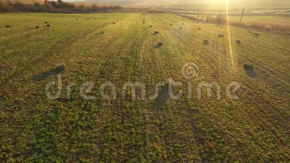 空中无人机4k视频观看一片绿野与圆形干草堆干干草捆视频的预览图