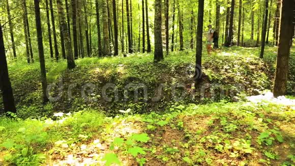 一个年轻的女人正在森林里散步前景中有一个峡谷视频的预览图