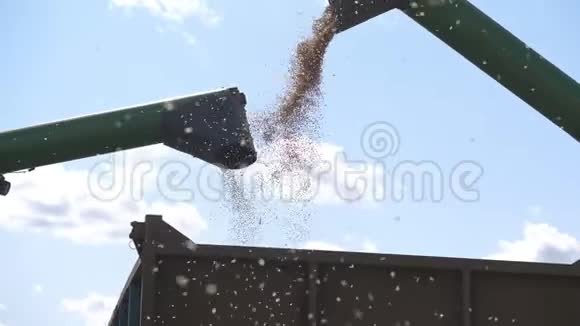 联合收割机在卡车上卸下玉米粒视频的预览图