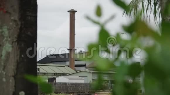一张树叶后面的工厂照片视频的预览图