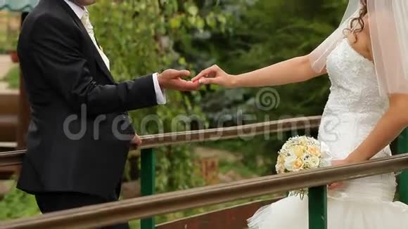 吻新娘的手视频的预览图