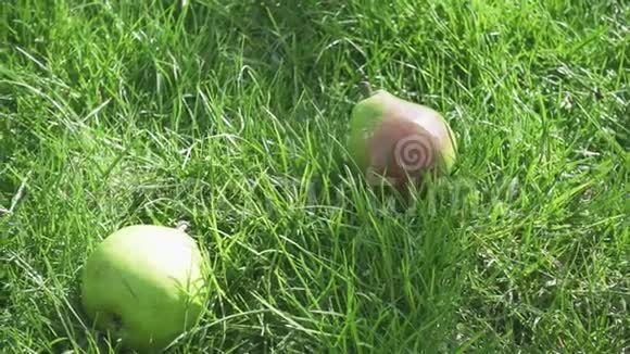 慢动作熟梨落入草丛中视频的预览图