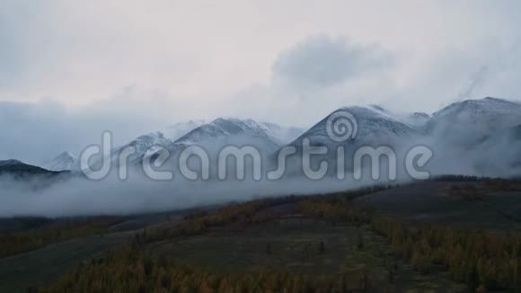 透过云层鸟瞰阿勒泰秋森林山谷和雪山视频的预览图