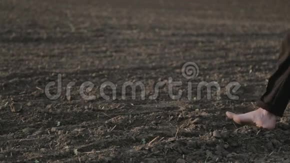 男足赤脚在田间行走视频的预览图