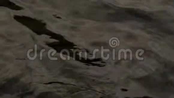 有光泽的水面底部有石头水面有波纹河流水面4K视频的预览图
