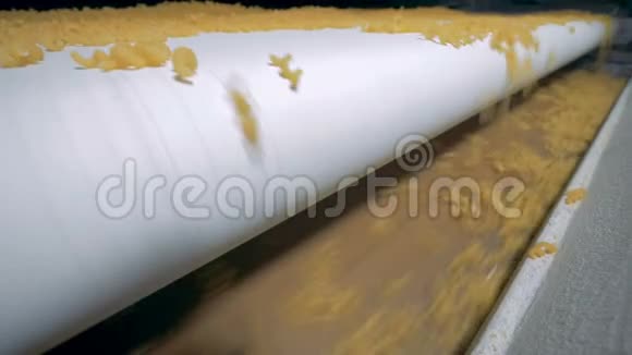 许多新鲜的螺旋通心粉正从一条传送带上下来意大利面通心粉面条意大利面的生产视频的预览图