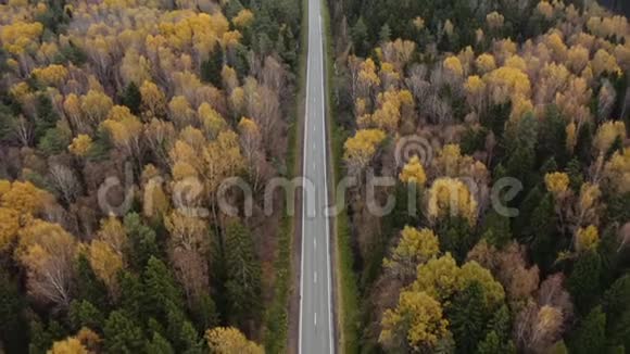 秋天森林中空路的鸟瞰图视频的预览图