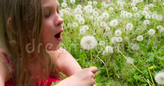 蒲公英草地上的女孩视频的预览图