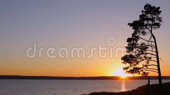 夕阳与江上孤树俄罗斯视频的预览图