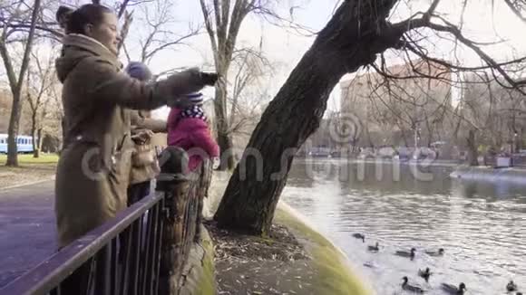 孩子们在秋天公园喂鸭子视频的预览图
