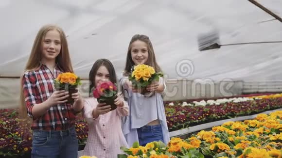 三个女孩微笑着伸展着花盆的肖像视频的预览图