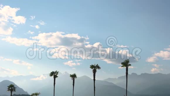 棕榈树和山天空视频的预览图