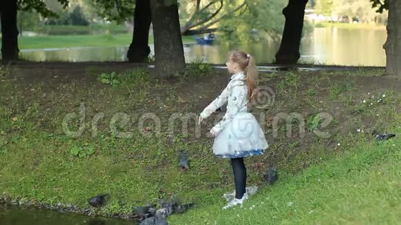 一个十几岁的女孩在湖边玩耍喂鸟快乐和休息视频的预览图