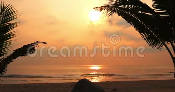美丽的日落在热带的海洋和椰子叶的背景下透过树叶看日落视频的预览图
