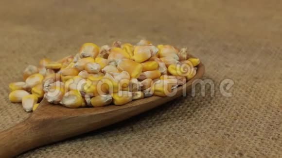 旋转着一堆玉米粒从一个木勺子上掉下来视频的预览图