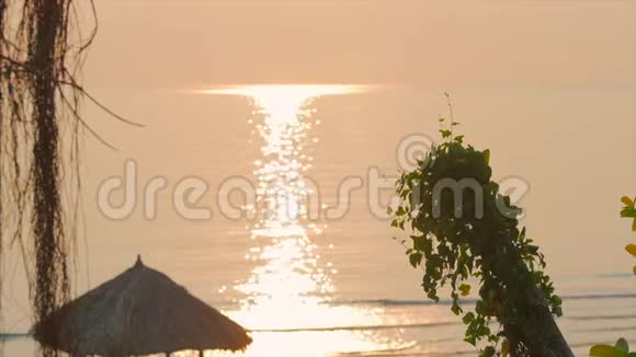 美丽的日落在热带的海洋和椰子叶的背景下透过树叶看日落视频的预览图