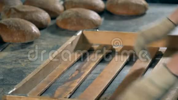一个工人把热的圆形面包饼收集到一个木制托盘里包装视频的预览图