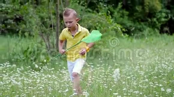 在绿色的洋甘菊草坪上一个有网的男孩试图捕捉蝴蝶蚱蜢夏天户外森林里视频的预览图