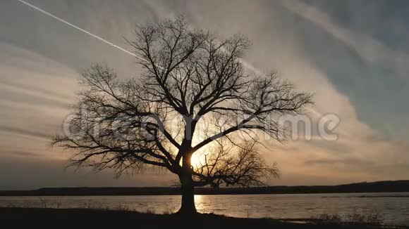 夕阳的云彩飞过湖面水边孤树的剪影视频的预览图