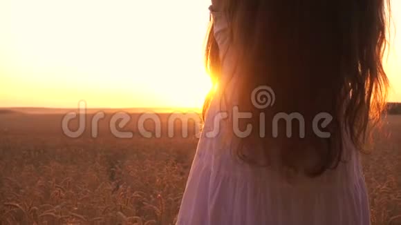 麦田里的女孩在夕阳下做心的象征视频的预览图