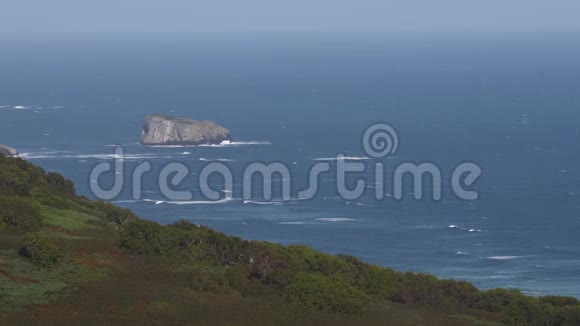 秋高气爽的太平洋海岸海景海洋中的波浪海岸上生长的森林视频的预览图