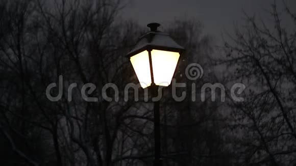公园里的灯笼和雪视频的预览图