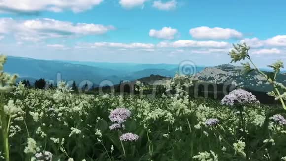 山中日落黄金时间日落色彩史诗荣耀灵感旅游视频的预览图