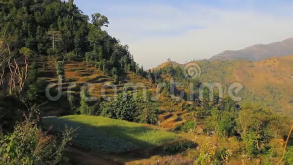 山坡上的菜园尼泊尔夏天视频的预览图