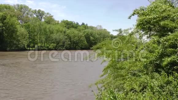 佐治亚州罗斯威尔公园向上游看着查塔霍切河绿树成荫视频的预览图