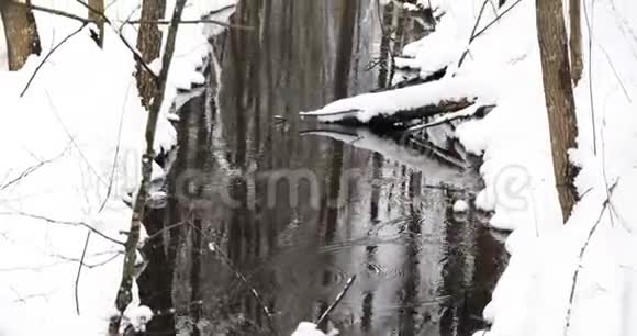 冬季森林的溪流雪间融化的水流欧洲大自然中的春天视频的预览图