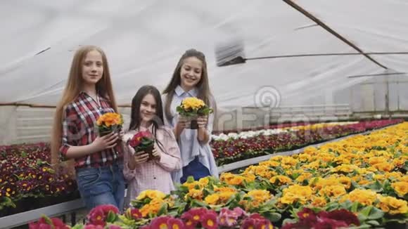 三个女孩微笑着伸展着花盆的肖像视频的预览图