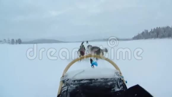 狗的雪橇视频的预览图
