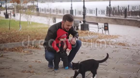 婴儿第一次看到一只黑猫爸爸和儿子在公园里视频的预览图