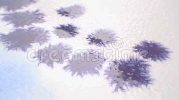 用水彩画抽象紫花视频视频的预览图
