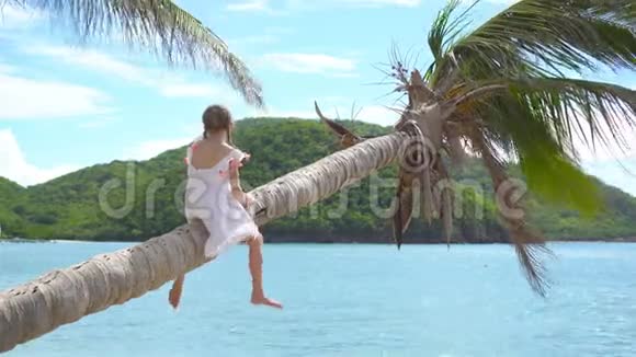 暑假蓝天背景下棕榈树热带海滩可爱的小女孩视频的预览图