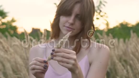 一位年轻迷人的红发女人在一片有小穗的田野上的特写肖像慢动作视频的预览图