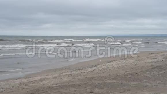 刮风的一天海浪拍打在海滩上视频的预览图