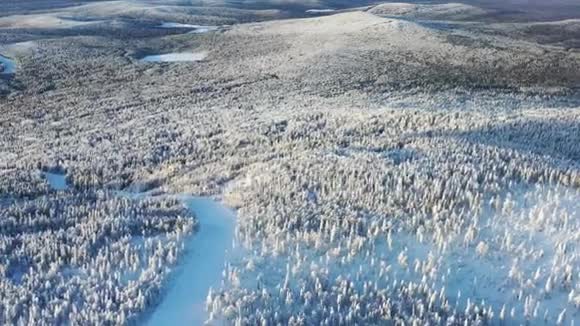 滑雪场全景录像森林山区滑雪场美丽的冬季景观室外视频的预览图