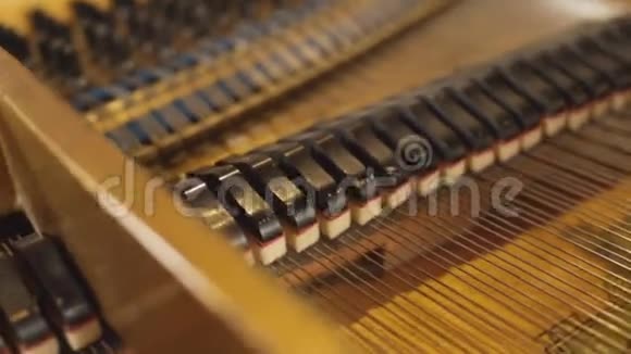 钢琴钢琴的内在机制音乐视频的预览图