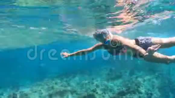 科科斯岛浮潜视频的预览图