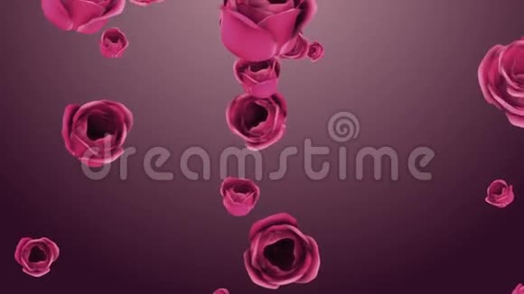飘落的粉红色玫瑰背景美丽视频的预览图