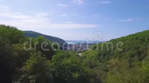 夏天从松树林和岩石山向后移动欧洲意大利阿尔卑斯山室外绿色自然视频的预览图