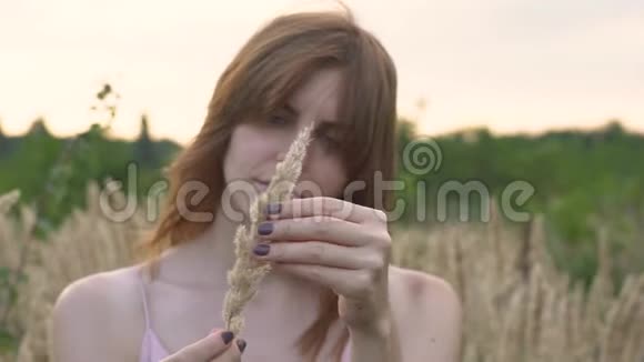 一位年轻迷人的红发女人在一片有小穗的田野上的特写肖像慢动作视频的预览图