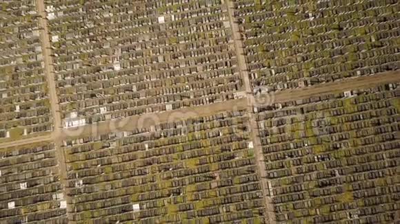 犹太墓地空中无人机全框架背景视频的预览图