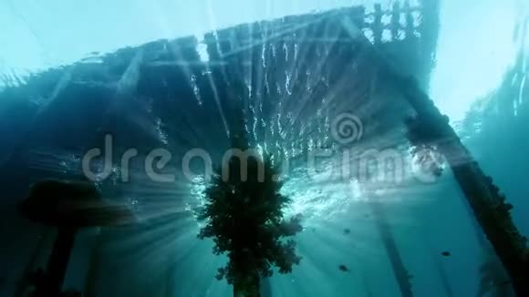 水下拍摄了一个古老的码头长满了柔软的珊瑚轮廓与阳光视频的预览图