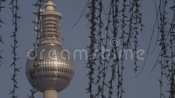 柏林电视塔白天通过柳树视频的预览图