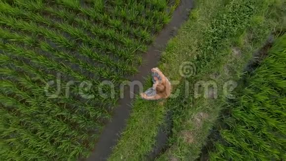 日出日落时分一位妇女在一片奇妙的稻田上冥想视频的预览图